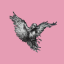 Server favicon of mc.ravenstale.net